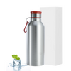 Stainless Steel Single Wall Sport Water Bottle - Large Capacity 750ml/1000ml Custom logo colors Drinking Bottle with Straw Lid
